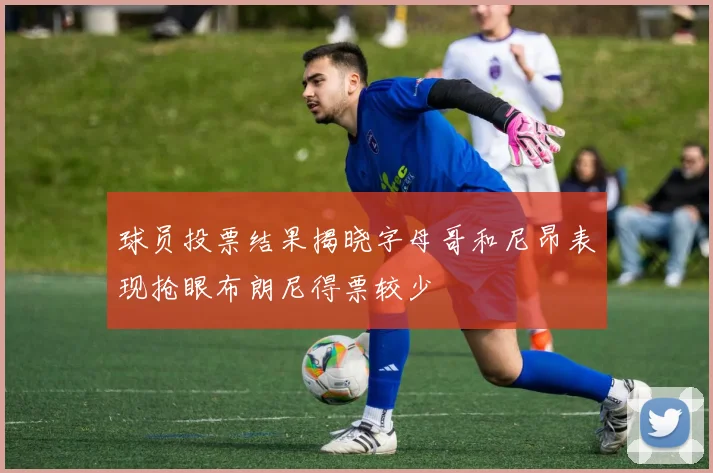 球员投票结果揭晓字母哥和尼昂表现抢眼布朗尼得票较少