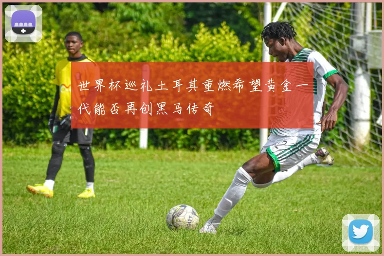 世界杯巡礼土耳其重燃希望黄金一代能否再创黑马传奇