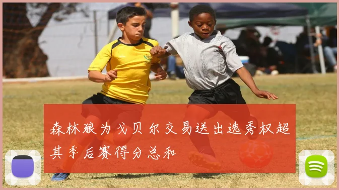 森林狼为戈贝尔交易送出选秀权超其季后赛得分总和