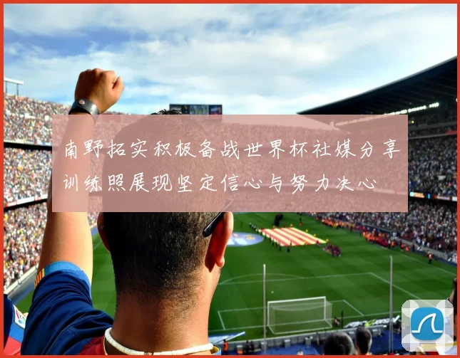 南野拓实积极备战世界杯社媒分享训练照展现坚定信心与努力决心